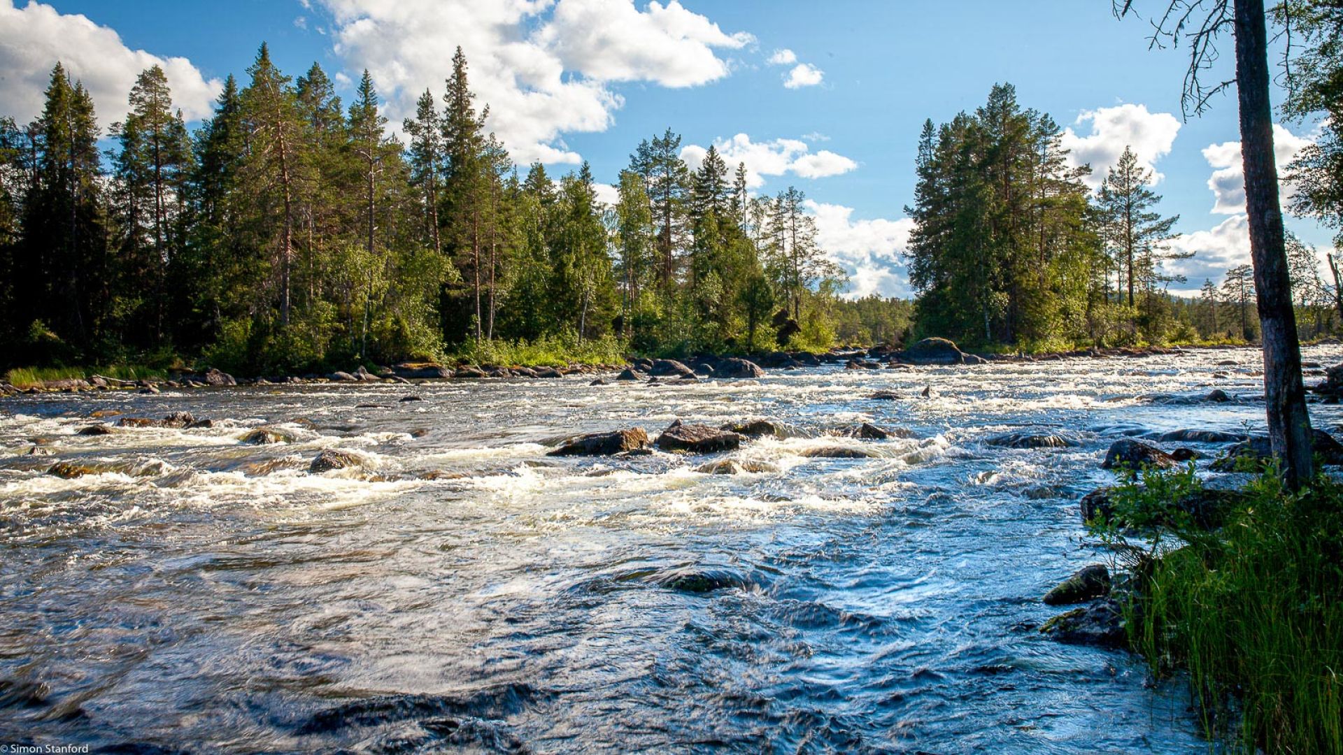 Häng med oss ut i naturen! i Jämtland och i Afrika.